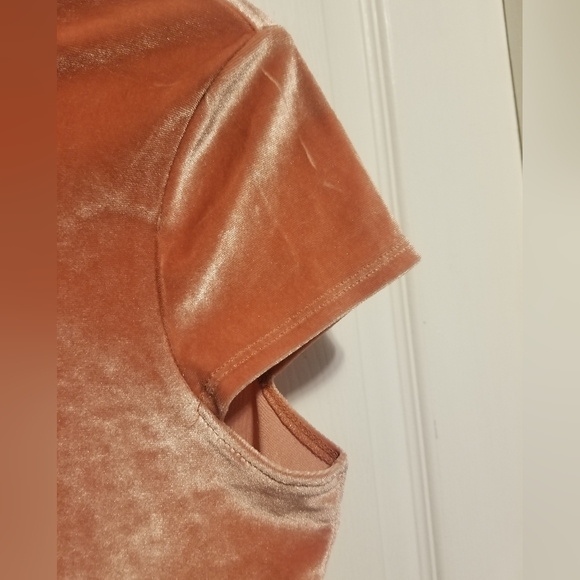 Madewell Rose/Blush Velvet Tee Shirt Size XS Color Orange - Picture 4 of 5